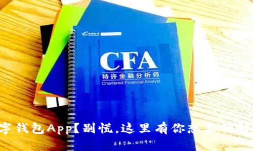丢失数字钱包App？别慌，这里有你想要的解决方案！