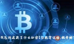 你的微信钱包到底藏了什么秘密？让数字说话，