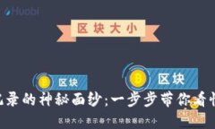 揭开TPWallet交易记录的神秘面纱：一步步带你看懂